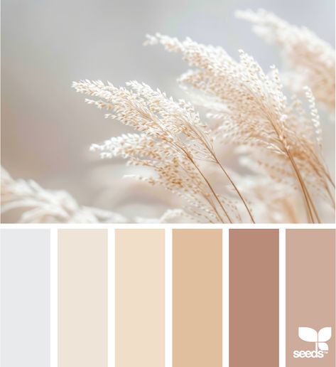 Design Seeds: Nature Tones Earthy Neutral Color Palette, Inspiration Color Palettes, Seeds Color Palette, Color Palette Neutral, Colour Crush, Seeds Color, Colour Pallets, Hex Color Palette, Color Schemes Colour Palettes