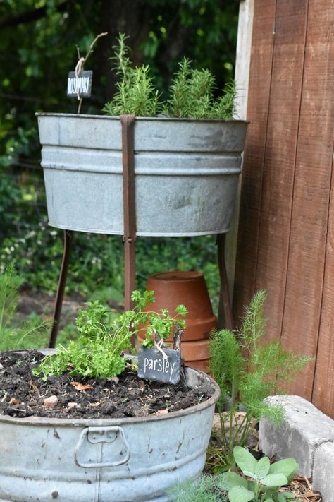 DIY vintage garden tub planters using galvanized buckets. Learn how to plant in galvanized buckets #rockyhedgefarm #galvanizedplanters #rockyhedgefarmflowergarden Galvanized Tub Planter, Galvanized Bucket Planters, Galvanized Wash Tub, Galvanized Planters, Bucket Planters, Metal Tub, Galvanized Tub, Galvanized Buckets, Building A Raised Garden