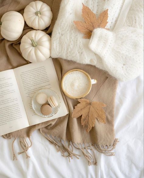 Cozy Soft Aesthetic, Neutral Autumn Aesthetic, Neutral Asthetic Pics, Minimalist Fall Aesthetic, Aesthetic Beige Photos, Autumn Aesthetic White, Beige Fall Aesthetic, Fall Neutral Aesthetic, White Fall Aesthetic