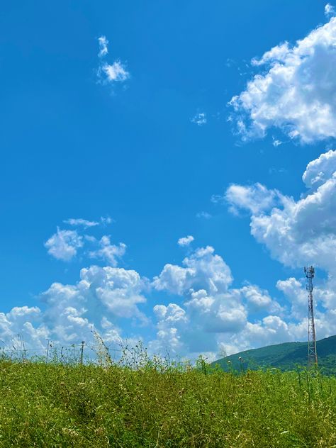 #field #sunny #bluesky #sky #blue #aesthetic #cottagecore Blue Aesthetic Cottagecore, Carpet Ideas 2023, Blue Sky Photography, Iphone Wallpaper Aesthetic, Sky Day, Carpet Ideas, Blue Sky Clouds, Wallpaper Iphone Wallpaper, Sky Photography Nature