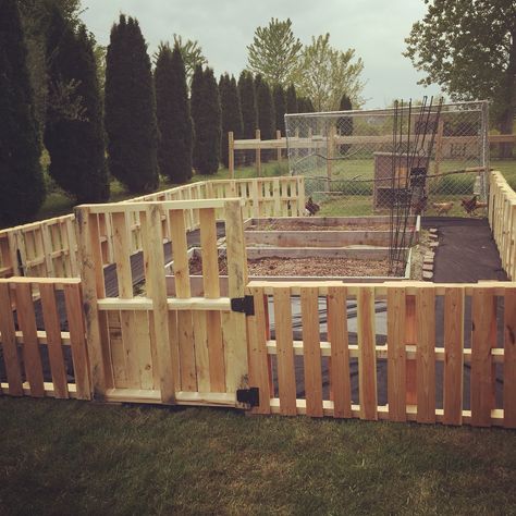 Pallet Garden Fence Ideas, Pallet Garden Gate, Pallet Fence For Garden, Easy Pallet Fence Diy, Pallet Fence Garden, Allotment Fence, Pallet Garden Fence, Pallet Fence Ideas, Pallet Fences