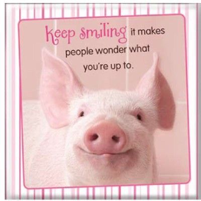 Pig Quotes Funny, Pig Quotes, Pigs Quote, Pig Pics, Scentsy Recipes, Hello Quotes, Cute Happy Quotes, Fly Quotes, Funny Friday