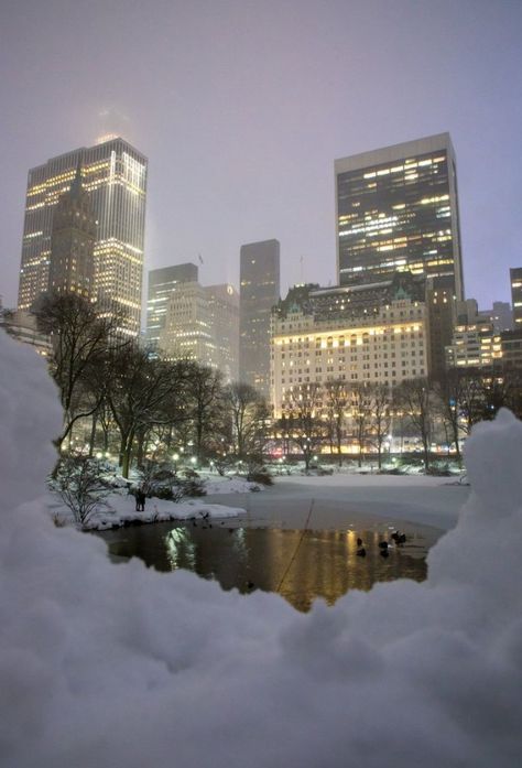 New York Noel, Nyc Christmas, Nyc Aesthetic, I Love Winter, Nyc Life, Winter Vibes, Winter Scenery, Winter Pictures, Best Seasons