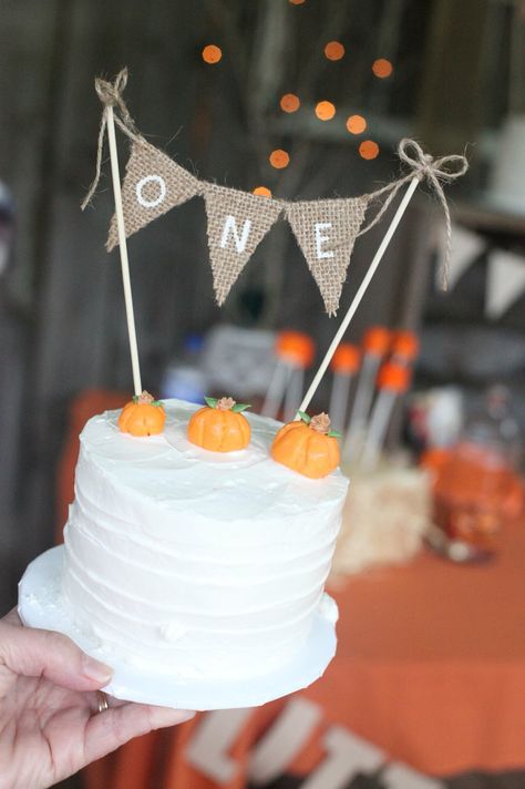 Fall birthday party/ pumpkin smash cake                                                                                                                                                     More Pumpkin Smash Cake, Milestone Photoshoot, Pumpkin Patch Birthday Party, Fall First Birthday, Pumpkin Patch Birthday, Fall 1st Birthdays, Pumpkin Smash, Halloween First Birthday, Halloween 1st Birthdays