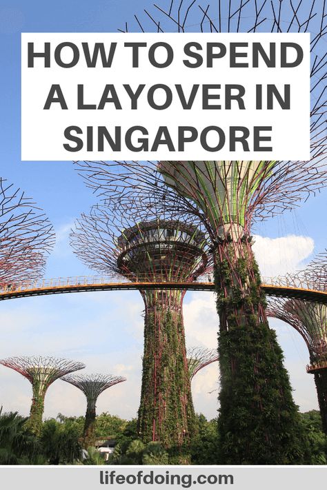 Need ideas on a Singapore layover? Check out what to do in Singapore and where to eat in Singapore during your limited travel time. Things to do in Singapore in a layover | Layover in Singapore | Singapore itinerary | One day in Singapore | Singapore travel guide | One day stopover in Singapore | Beautiful places to see in Singapore | 8 hours in Singapore | Gardens by the Bay #LifeOfDoing #Singapore Singapore Layover, Layover In Singapore, 2 Days In Singapore, Traveling To Singapore, One Day In Singapore, Singapore Guide, Singapore Tourist Spot, Singapore Travel Tips, Singapore Stopover