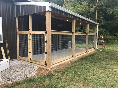 Dog Kennel Ideas, Diy Dog Run, Backyard Dog Area, Kennel Ideas Outdoor, Cheap Dog Kennels, Kennel Ideas, Dog Kennel Designs, Dog Run, Diy Dog Kennel