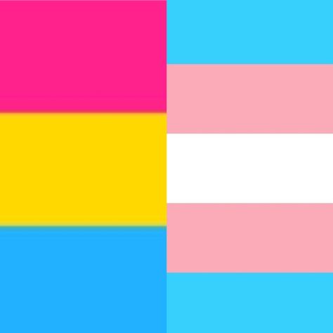 Trans and Pan Trans And Pan Flag, Pan Flag, Color Palettes, Flag, Color, Colour Palettes