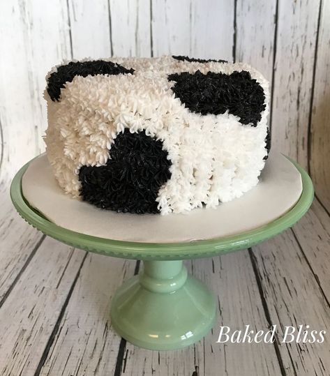 Cow Print Cakes, Cowgirl Birthday Cakes, Cow Birthday Cake, Cow Print Birthday, Cow Cupcakes, Cow Cake, Cow Birthday Parties, 1st Rodeo, Cow Cakes