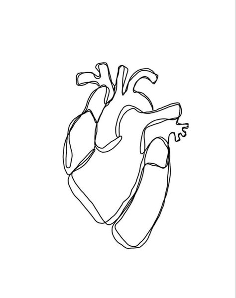 Heart Fine Line Drawing, Anatomical Heart Line Art, Anatomical Heart Line Drawing, Heart Line Art Tattoo, Human Heart Line Art, One Line Heart Drawing, Human Heart Drawing Aesthetic, Fine Line Anatomical Heart Tattoo, Anatomical Heart Drawing Simple