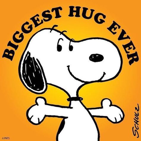 Snoopy Hug, Charlie Brown Quotes, Hug Quotes, Snoopy Funny, Snoopy Images, Peanuts Cartoon, Snoopy Wallpaper, Snoopy Quotes, Snoopy Pictures