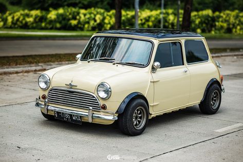 Geralldus' 1962 Morris Mini Cooper MK1 Old Mini Cooper, Retro Vehicles, Mini Morris, Mini Cooper Classic, Car Dream, British Motors, Austin Mini, Porsche 964, Mini Classic