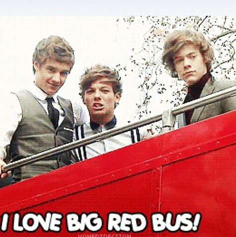 I love big red bus! Big Red Bus, One Direction Louis, Harry Styles Cute, Red Bus, Key To My Heart, Your Voice, Louis Tomlinson, One Direction, Harry Styles