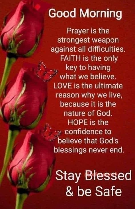 Happy Blessed Tuesday, Blessed Tuesday, Christian Good Morning Quotes, Good Morning Prayer Quotes, Good Morning Friday, Good Morning Sweetheart Quotes, Good Morning Spiritual Quotes, Stay Blessed, Morning Prayer Quotes