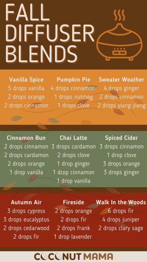 Fall Diffuser Blends With Vanilla, Chai Diffuser Blend, Get Ready For Autumn, Pumpkin Spice Oil Blend, Fall Blends For Diffuser, Fall Aromatherapy Blends, Pumpkin Diffuser Blend, Pumpkin Spice Diffuser Blend, Seasonal Essential Oil Blends