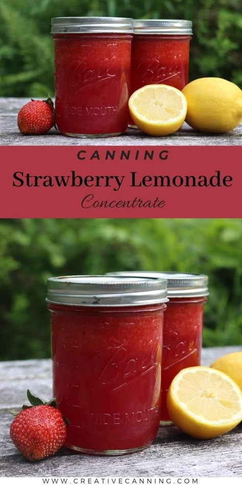 Canning Strawberry Lemonade Concentrate Ball Strawberry Lemonade Concentrate, Strawberry Concentrate Recipe, Canned Lemonade Concentrate, Canned Strawberry Lemonade Concentrate, Canned Fruit Juice, Strawberry Canning Ideas, Strawberry Lemonade Concentrate Canning, Canning Drink Concentrate, Canning Lemonade Concentrate