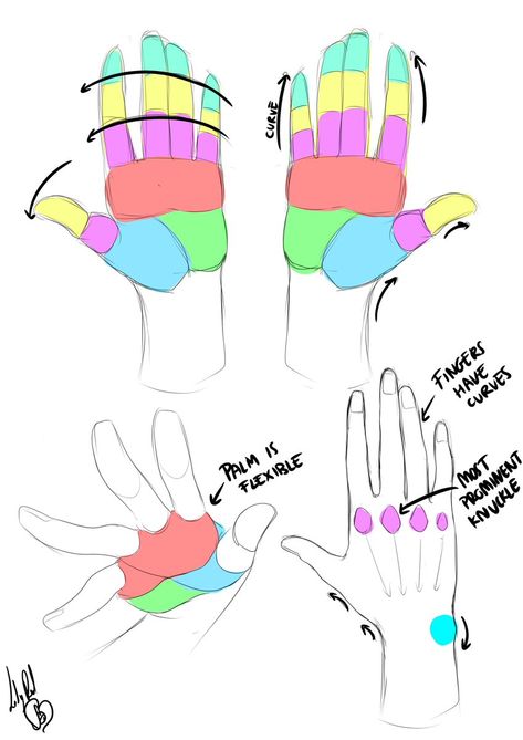 Lady Red (@lady_redhaired): Requested by ‪@DiscoPanda123‬, a breakdown on how I draw hands, as well, so here's a super quick sheet for that. ‪#art‬ ‪#arttips‬ ‪#anatomy‬ ‪#sketches [Pinned from Twitter using Workflow. Please visit the original source!] Draw Hands, Body Drawing Tutorial, Human Anatomy Drawing, Hand Drawing Reference, Human Anatomy Art, Anatomy Sketches, Body Reference Drawing, Hand Reference, Anatomy Drawing