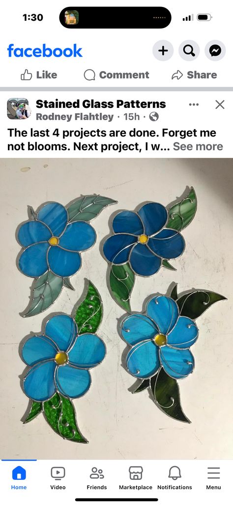 Stained Glass Forget Me Nots, Forget Me Nots, Stained Glass Patterns, Stained Glass, Stain, Glass, Flowers, Pattern