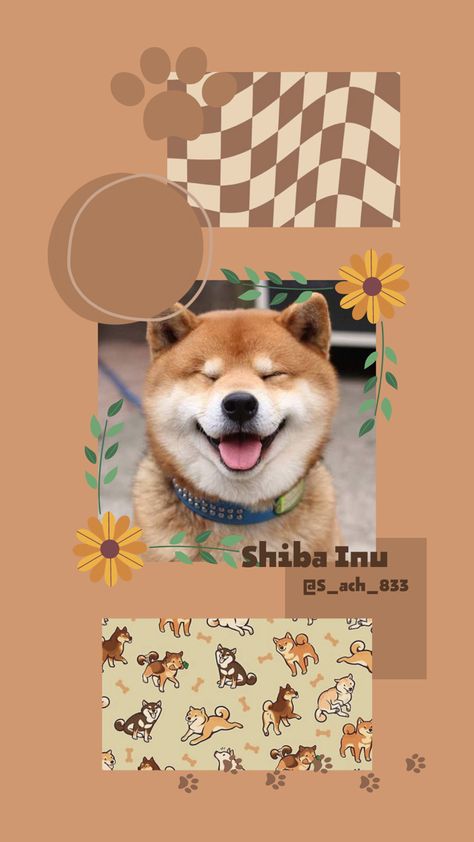 Shiba Inu Puppy Wallpaper, Shiba Wallpaper Iphone, Shiba Inu Dog Wallpaper, Cute Little Drawings Aesthetic, Little Drawings Aesthetic, Shiba Inu Wallpaper, Little Drawings, Collage Pics, Summer Brown