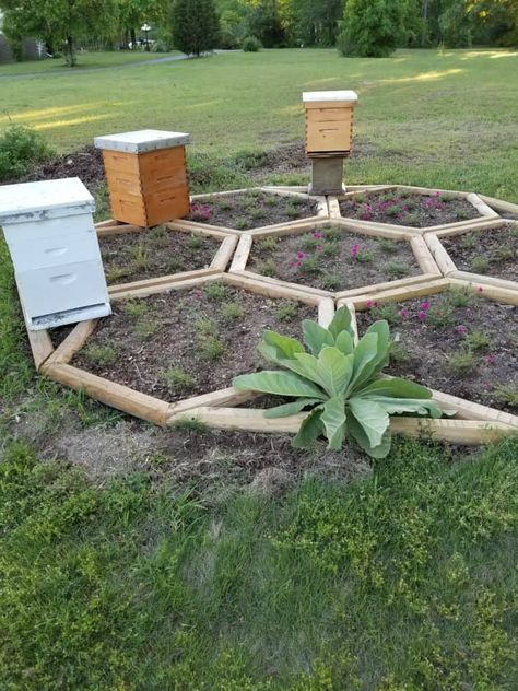 Apiary Garden, Bee Garden Design, Apiary Design, Bee Apiary, Southern Gardening, Bee Yard, Backyard Bee, Bee Friendly Garden, Backyard Beekeeping