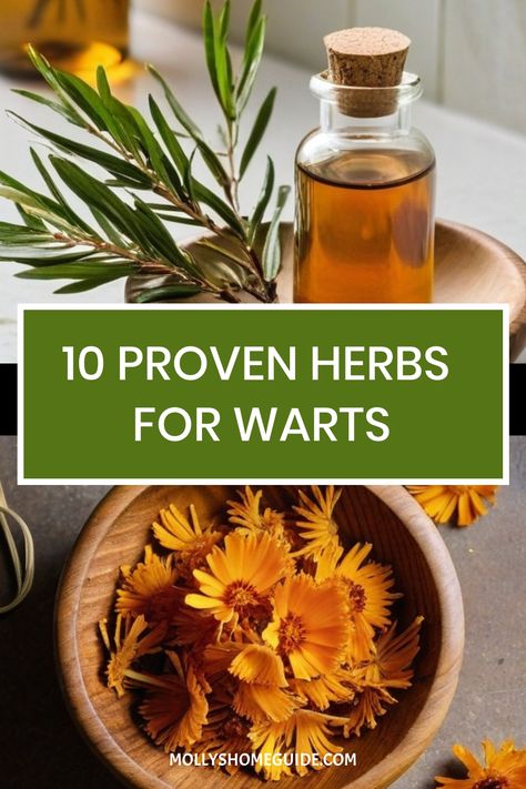 Explore the power of natural remedies to tackle warts at home with ease. Discover effective solutions like oregano oil, apple cider vinegar, garlic, and essential oils. Learn about plantar wart remedies and herbs known for their wart-removal properties. Say goodbye to warts naturally using these trusted methods that are gentle on your skin yet tough on those stubborn growths. Wort Removal Essential Oils, Plantar Wart Remedies, Essential Oils For Warts, Beauty Hacks With Vaseline, Wart Remedies, Skincare For Hyperpigmentation, Natural Wart Remedies, Bitter Herbs, Diy Natural Remedies