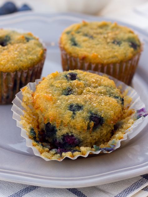 Coconut Flour Blueberry Protein Muffins! Healthy, moist, and sweet blueberry muffins that are full of fiber and protein. {Grain-Free, Paleo} | Meaningful Eats Coconut Flour Blueberry, Coconut Flour Blueberry Muffins, Paleo Muffin Recipes, Coconut Flour Muffins, Mini Patisserie, Blueberry Protein Muffins, Meaningful Eats, Healthy Muffin, Blueberry Donuts