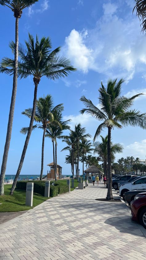 Picture of palm trees on a sunny at the beach Sea Side Florida, West Palm Beach Aesthetic, Zepeto Background Aesthetic Beach, Palm Beach Aesthetic, La Palm Trees, Florida Pics, Florida Photos, Deerfield Beach Florida, Davenport Florida