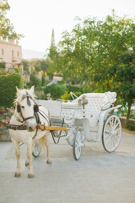 Horse And Carriage Wedding, Wedding Carriage, Creative Wedding Favors, Horse Wedding, Wedding Transportation, Horse And Carriage, Cinderella Wedding, Wedding Favors Cheap, Horse Carriage