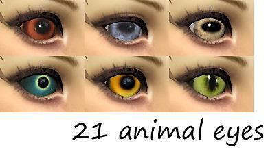 Mod The Sims - Search Results for animal Werewolf Eyes, Animal Noses, Wolf Eyes, Animal Eyes, Horse Ears, Wolf Ears, Free Sims 4, Sims 4 Teen, Owl Eyes