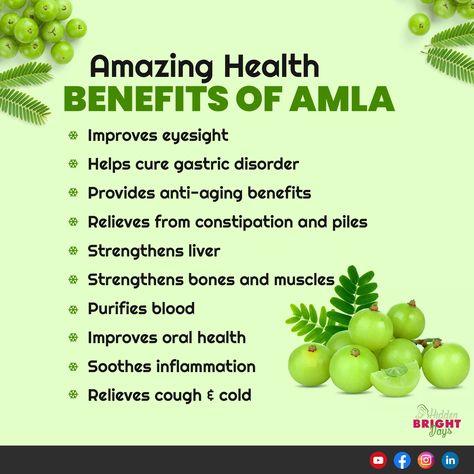 Amla, also known as Indian gooseberry or "Emblica officinalis," is a fruit native to the Indian subcontinent and surrounding regions. It holds significant importance in traditional Ayurvedic medicine due to its various potential health benefits. #amla #benefits #healthtips #healthcare #hiddenbrightdays Amla Benefits, Indian Medicine, Indian Gooseberry, Mantra Quotes, Eye Sight Improvement, Cold Cough, Bones And Muscles, Hormone Health, Ayurvedic Medicine