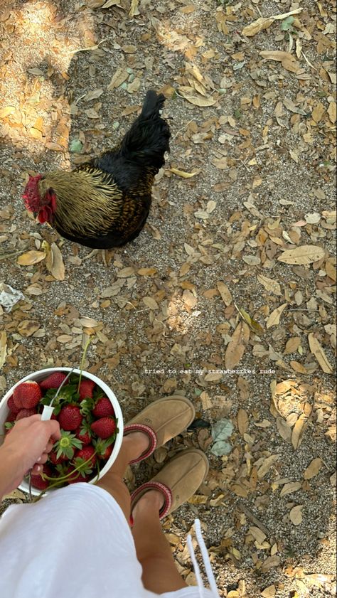 Farm Life With Family, Organic Farm Aesthetic, English Farm Aesthetic, Rich Farm Life Aesthetic, Life On A Farm, Mini Farm Aesthetic, U Pick Farm, Family Farm Aesthetic, Family Farm Life