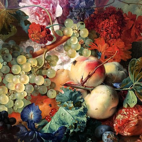 https://flic.kr/p/DEpn49 | Bonne Semaine ! :-) | A detail of Fruit Piece by Jan van Huysum. J. Paul Getty Art Museum L.A. Jan Van Huysum, Dutch Still Life, Megan Hess, Dutch Painters, Fruit Painting, Rose Art, Still Life Painting, Flower Painting, Still Life