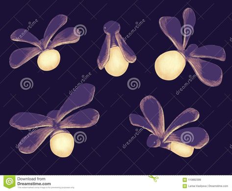 Fireflies Drawing Illustration, Firefly Illustration Drawings, Lightning Bug Illustration, How To Draw Fireflies, Glowworm Illustration, Firefly Paintings, Firefly Drawing Illustration, Fireflies Illustration, Firefly Illustration