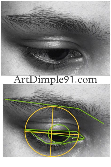 Eyes Side View Drawing, Realistic Person Drawing, Eye Proportions, Eyes Drawing Tutorial, Portrait Drawing Tips, Drawing The Human Head, Face Art Drawing, Eye Anatomy, Eye Drawing Tutorials