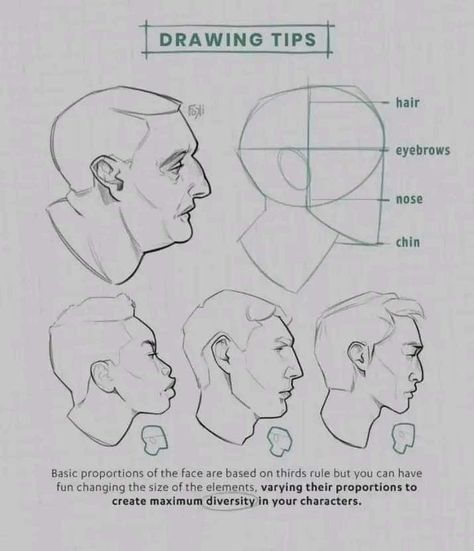 Draw Heads, Drawing Portraits, Art Advice, Human Anatomy Art, Anatomy Sketches, Anatomy For Artists, Poses References, Anatomy Drawing, Figure Drawing Reference