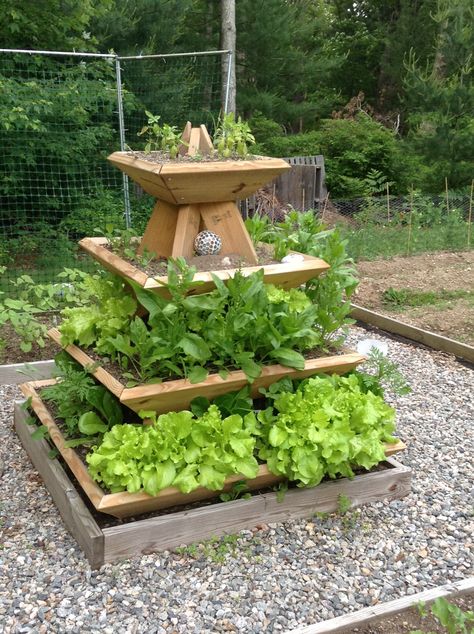 The pyramid planter with lettuce, spinach, and basil! Lettuce Planters, Beautiful Raised Garden Beds, Pyramid Planter, Planting, Diy Raised Garden, Backyard Vegetable Gardens, Veg Garden, Vegetable Garden Design, Home Vegetable Garden