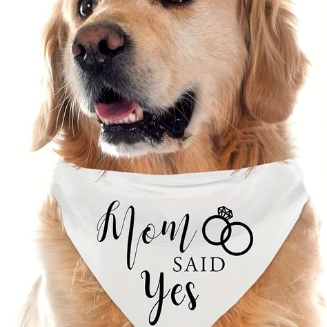 Engagement Photos Pets, My Humans Are Getting Married, Wedding Party Accessories, Wedding Cape, Engagement Celebration, She Said Yes, Wedding Pets, Pet Scarf, Triangle Scarf