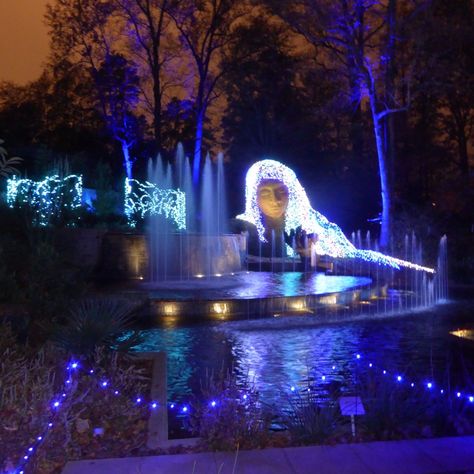 Atlanta Botanical Garden decorates most of the gardens in beautiful Christmas lights. Atlanta Activities, Garden Christmas Lights, Beautiful Christmas Lights, Atlanta Travel, Atlanta Hotels, Atlanta Restaurants, Atlanta Botanical Garden, Traditional Colonial, Colonial Christmas