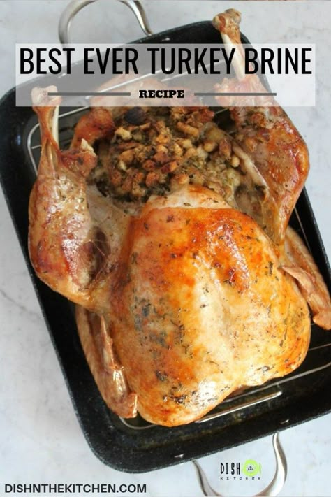 Have you been waffling upon the age old turkey question...to brine or not to brine? Have you been cooking your turkey using the same method since forever and a day? No more dry-ass turkeys! Here it is: The Best Ever Turkey Brine Recipe. #brine #turkeybrine #roastedturkey #turkeydinner Best Ever Turkey, Turkey Brines, Best Turkey Brine, Turkey Brine Recipe, Pies Thanksgiving, Brine Recipes, Brined Turkey, Turkey Brine Recipes, Cajun Spice