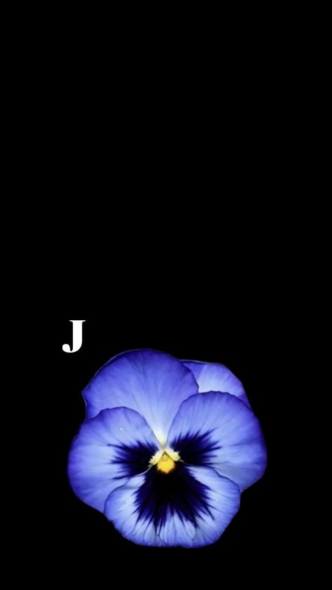 J Flower Wallpaper, J+j Wallpaper, Letter J Wallpaper, J Wallpaper Letter, J Wallpaper, J Letter Images, J Initial, Letter Images, I Love You Baby