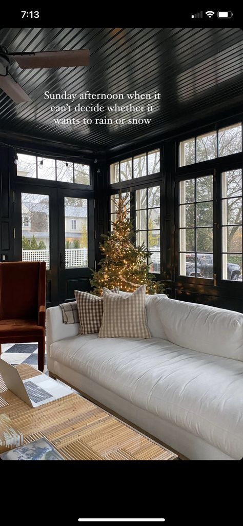 Moody Sunroom, Dark And Moody Interiors, Moody Interiors, Hearth Room, Screened In Porch, Furniture Inspiration, Maine House, Outdoor Bed, Living Area