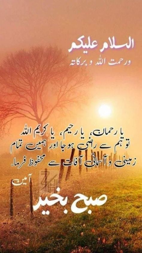 Subh Bakhair, Basic Arabic, Sweet Good Morning Images, Subha Bakhair, Subah Bakhair, Dua In Urdu, Good Day Messages, Good Morning Sunshine Quotes, Assalamualaikum Image