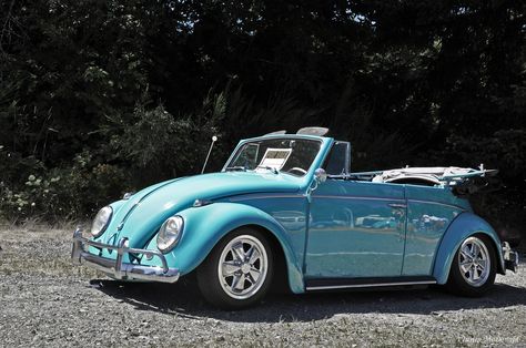 convertible VW Bug | Justin McDonald | Flickr Vw Bug Convertible, Vw Convertible, Volkswagen Convertible, Volkswagen Beetle Vintage, Vw Beetle Convertible, Custom Vehicles, Vw Ideas, Volkswagen Beetle Convertible, Vw Sedan