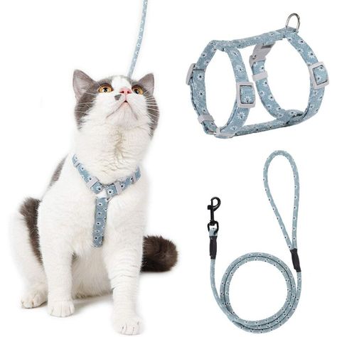 Animalerie > Chat > Collier, laisse et harnais pour chat > Harnais pour chat KUEATILY, à propos de cet article 【CHOIX MULTIPLES】Avoir une belle appatrence et motif japonaise avec 3 couleurs disponible: noir, rose et vert clair. Le harnais peut être retiré de la laisse grace à l'anneau en D pratique à crochet en alliage pour libérer vos chats à l'intérieur ou à l'extérieur. 【DIMENSION】??Taille S: le tour de cou est 14-22 cm, le tour de poitrine est 18-30 cm, poid 92 g. poid 100 g Ce sera mieux si Cat Harness, Maine Coon, France, Crochet, Animals