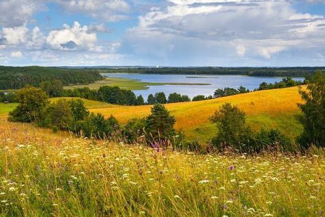 Countryside Landscape Photography, Landscape Reference Photos For Painting, Simple Landscape Reference, Painting Reference Photos Landscape, Vintage Landscape Photography, Landscape Reference Photos, Landscape Reference, Countryside Landscape, Landscape Photography Nature