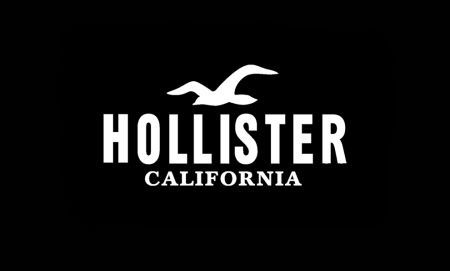 Hollister Logo, Hollister California, Ios Icon, App Icon Design, App Icon, The North Face Logo, Icon Design, Hollister, Clothing Brand