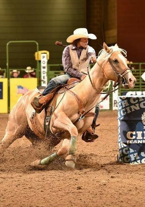 Cavalo Palomino, Barrel Racing Photography, Horse Barrel Racing, Rodeo Cowboys, Barrel Racing Horses, Palomino Horse, Rodeo Horses, Barrel Horse, Rodeo Life