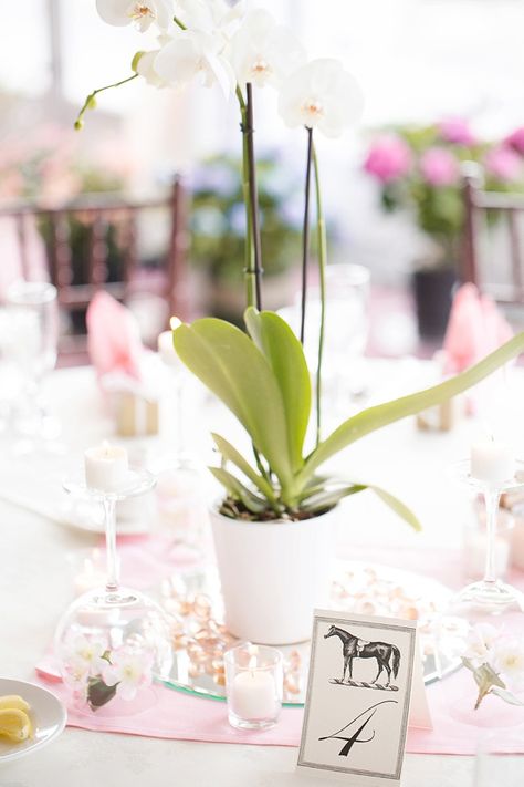 White Orchid Centerpiece, Orchid Centerpieces Wedding, Lavender Wedding Theme, Equestrian Wedding, Orchid Centerpieces, Horse Wedding, White Wedding Theme, Williamsburg Virginia, Card Table Wedding