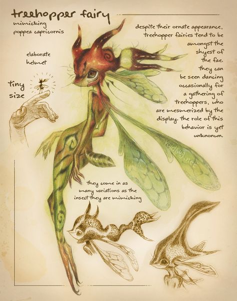 GHRsWiDWAAAGZya (1080×1375) Magical Creatures Mythology, Mystical Creatures Mythology, Fantasy Creatures Mythology, Fantasy Fields, Spiderwick Chronicles, Myths & Monsters, Forest Creatures, Mythical Creatures Art, Mythological Creatures