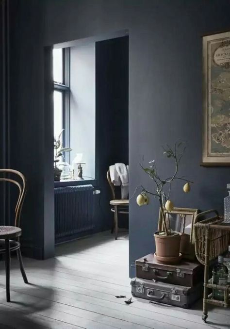 Nice Houses, Blue Grey Walls, Light Wooden Floor, Dark Blue Walls, Gravity Home, Dark Walls, Bachelor Pad, Dark Interiors, Blue Rooms