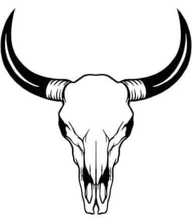 Bull Skull Tattoo, Bull Skull Tattoos, Buffalo Skull, Writing Tattoos, Old School Tattoo Designs, Skull Tattoo Design, Bull Skull, Bull Skulls, Cow Skull